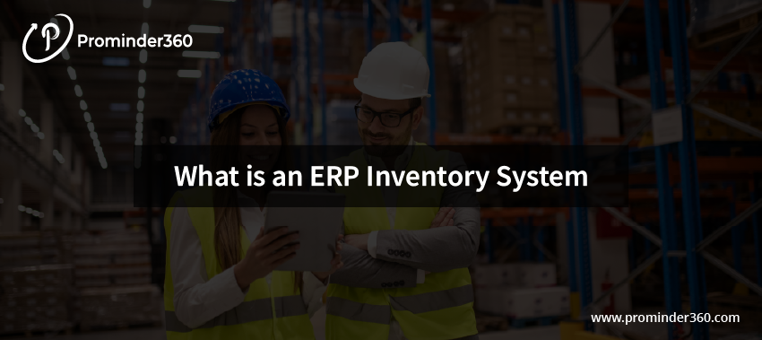 ERP Inventory System Overview